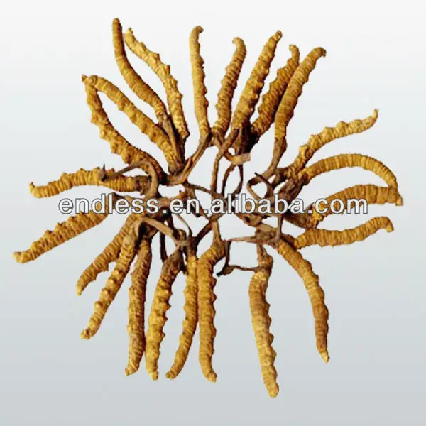 Две бутылки 400 мг 60 капсул/бутылка кордицепс капсулы бесплатная доставка