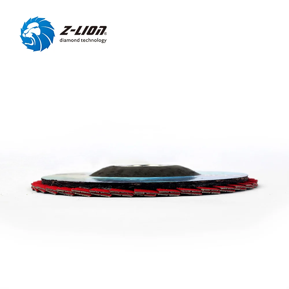 Z-LION, 2 шт., 4 дюйма, лоскутный диск, алмазный гальванический шлифовальный круг, Реноватор Skive, шлифовальный диск, аксессуары, роторный инструмент, шлифовальная площадка