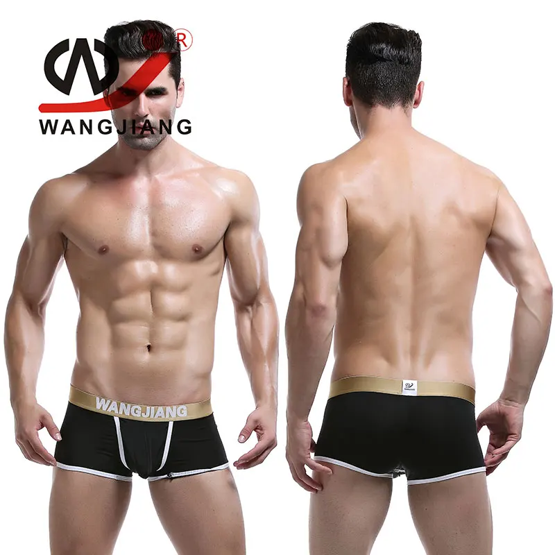 

3pcs/lot Sexy Male Calzoncillos Hombre Boxer Marca Gay Underwear Men Underpants Calzoncillos Hombre Spandex Beachwear WJ 5008-PJ