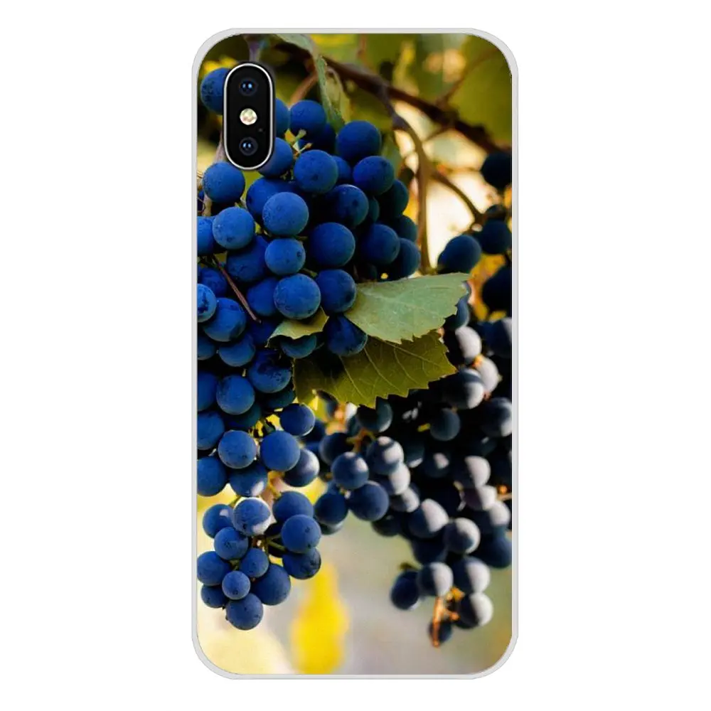 Аксессуары для винограда и вина чехлы телефонов Samsung A10 A30 A40 A50 A60 A70 Galaxy S2 Note 2 3 Grand