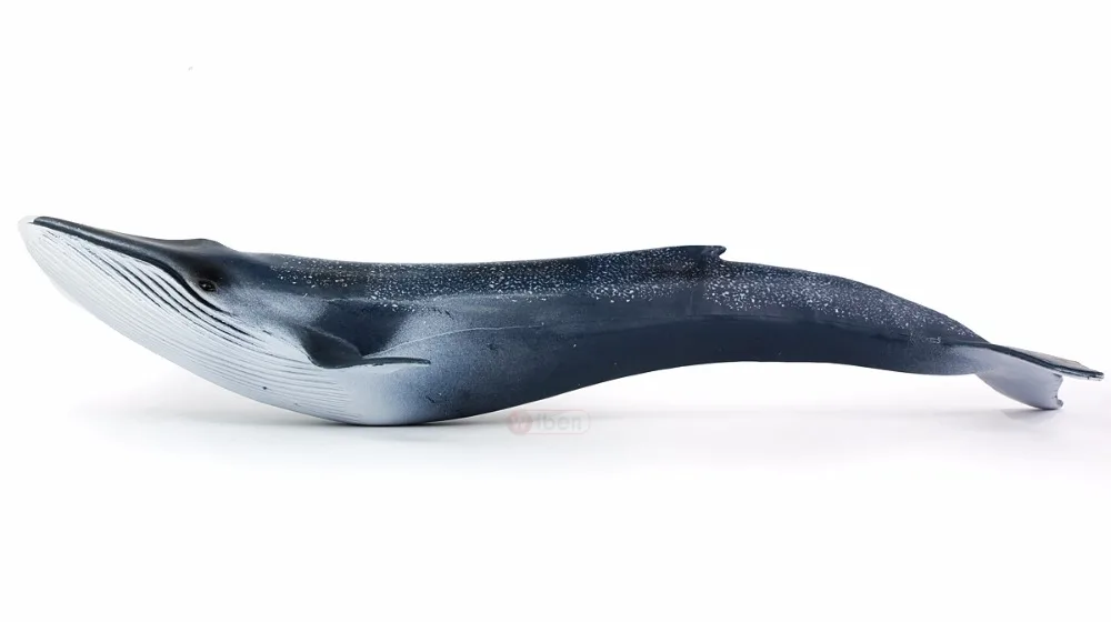 Wiben Sea Life, синие игрушечные киты, модель животного, фигурки, Классические игрушки для детей, коллекция моделей животных