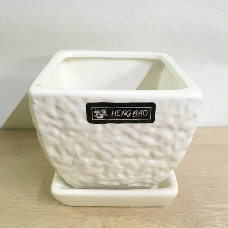 Керамические горшки с квадратным цветным мясистым горшечным подносом узкий