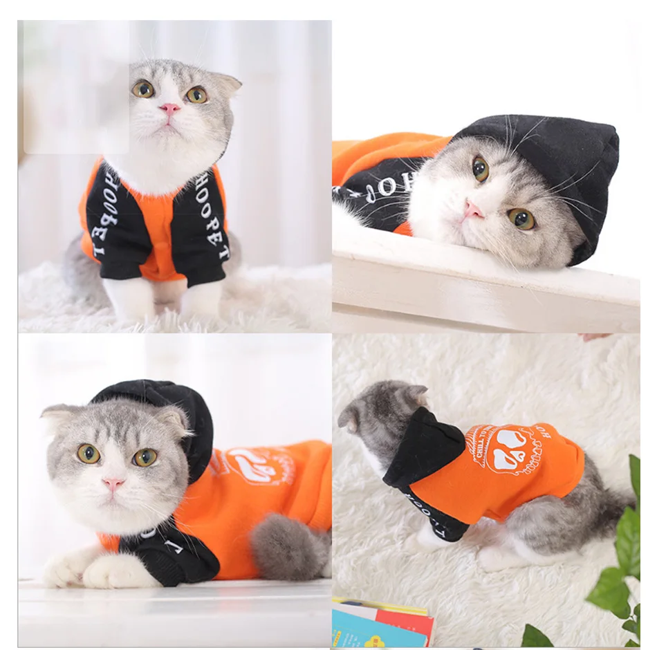 Красивый череп, одежда с котом, модное зимнее плотное хлопковое пальто с котом, толстовка с капюшоном, куртки для кошек, жилетка, одежда для домашних животных