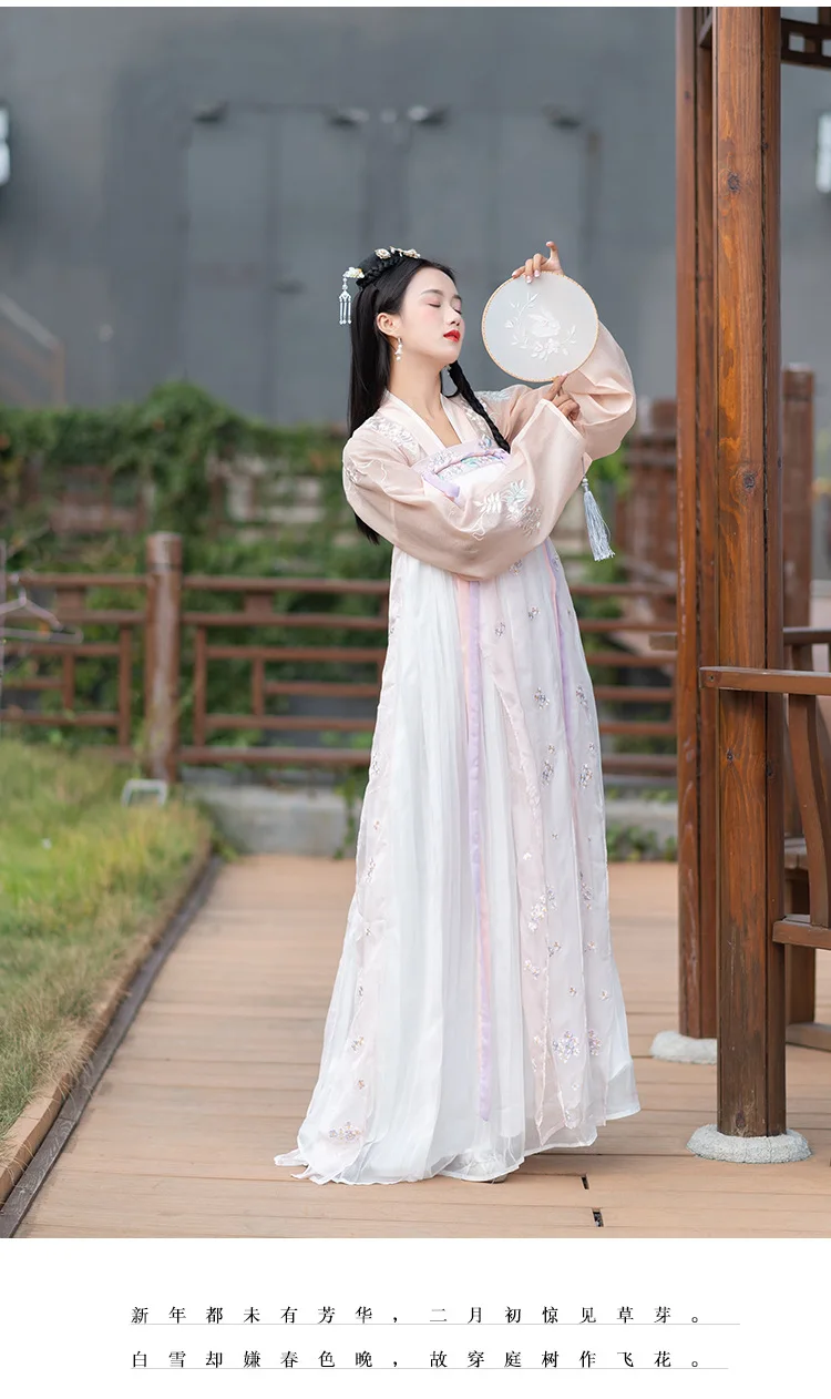 Hanfu Женский длинный рукав вышивка костюм Хана элемент династии Тан традиционный костюм Юбки феи платье принцессы для взрослых DN3508