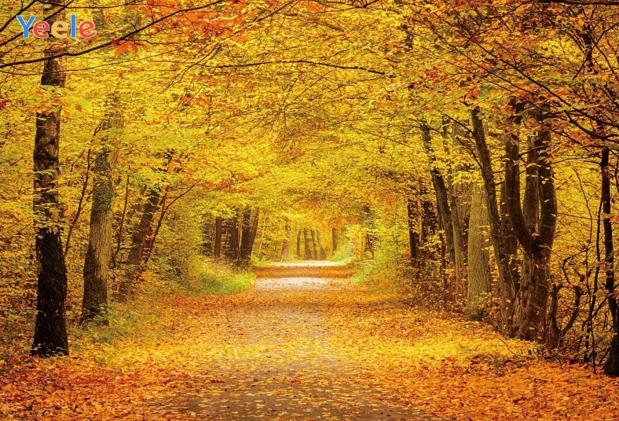 Фоны для фотосъемки Yeele свадебные обои осеннего леса дороги персонализированные