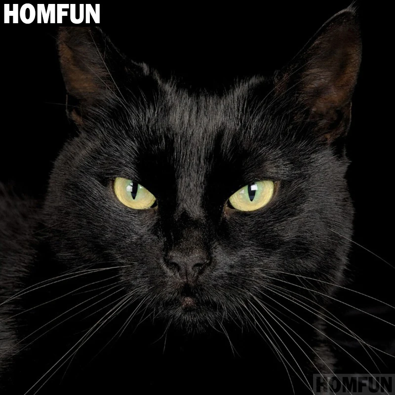 Алмазная 5D Вышивка сделай сам HOMFUN картина с квадратными/круглыми стразами Черный