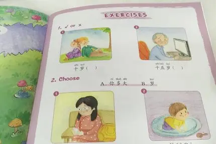 12 шт. китайский Райский синхро чтение с булавкой Инь/YCT тестовая книга|reading book|chinese