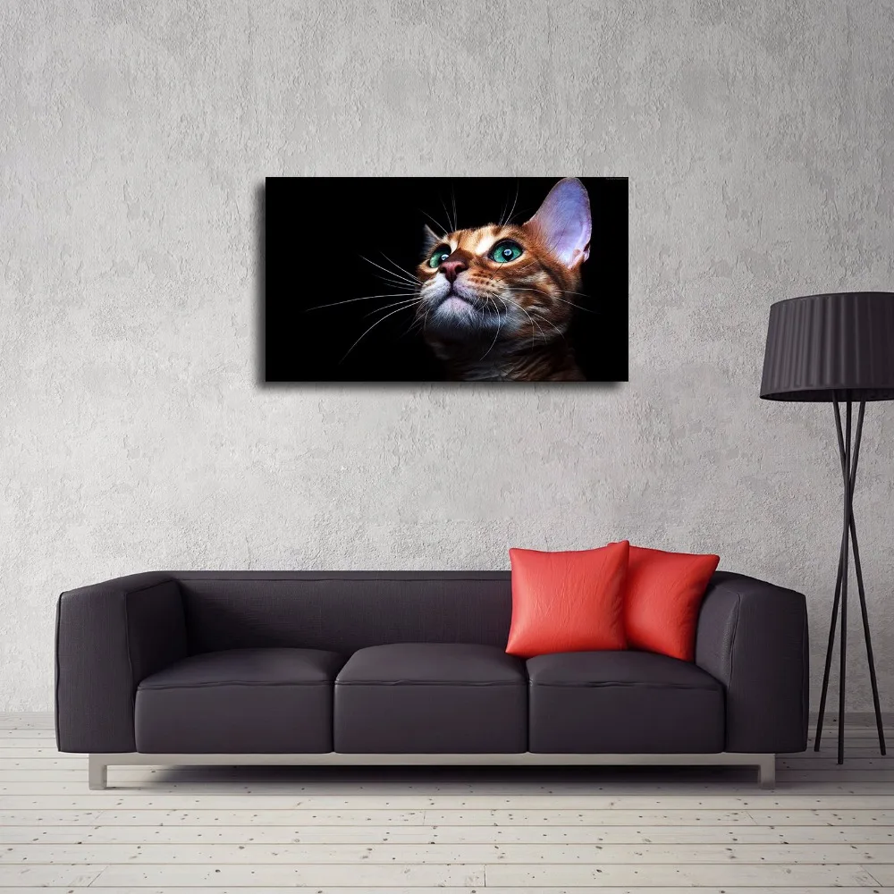 SR101087 Kitten Cute Natural Scenery Animal. HD Canvas Print Home decoration Living Room bedroom Wall pictures Art painting | Дом и сад