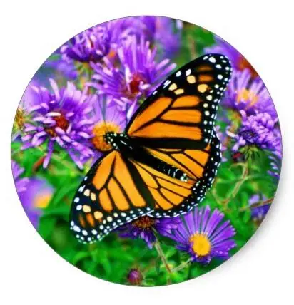 

1.5inch Monarch Butterfly Sticker