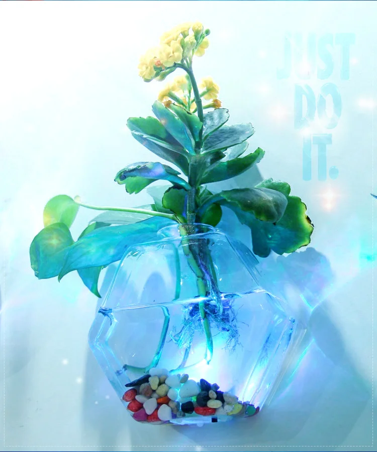 1 шт. креативные настенные стеклянные вазы со светильник кой террариум