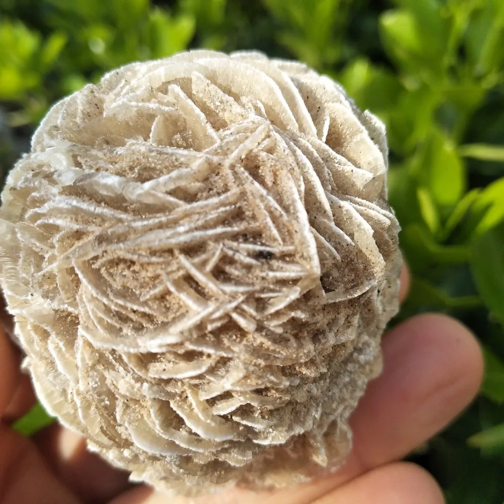 140gNatural пустыня Роза Кристалл Камень минеральный образец оригинальный