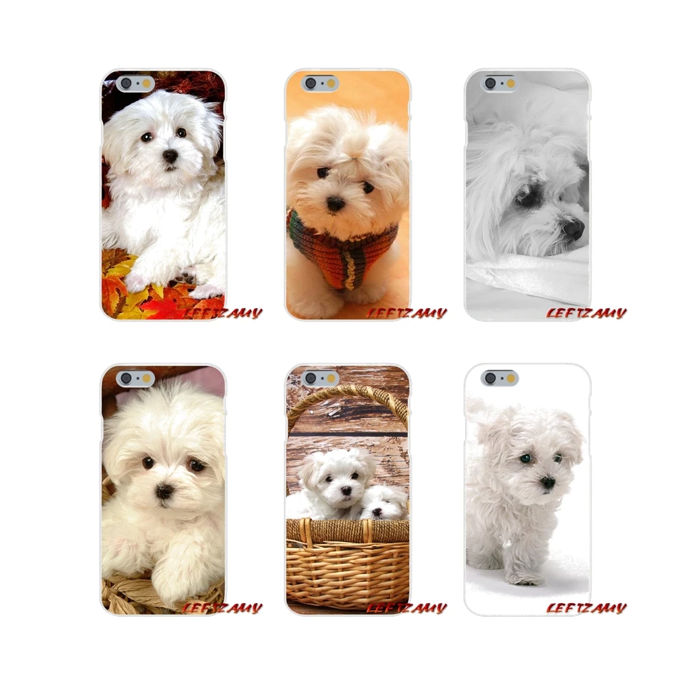 Чехол для телефона с изображением милых белых щенков мальтийской породы на Samsung Galaxy S3 S4 S5 MINI S6 S7 edge S8 S9 Plus Note 2 3 4 5 8.