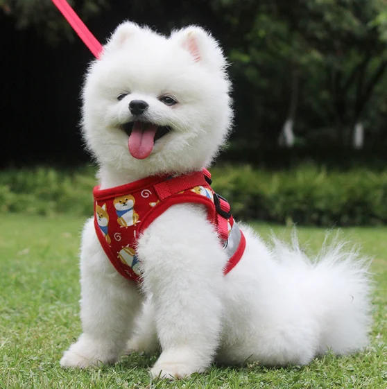 Breathable Dog Pet Harness and Leash Nylon Puppy Small Dogs Cat Clothes Accessories Vest Set | Дом и сад