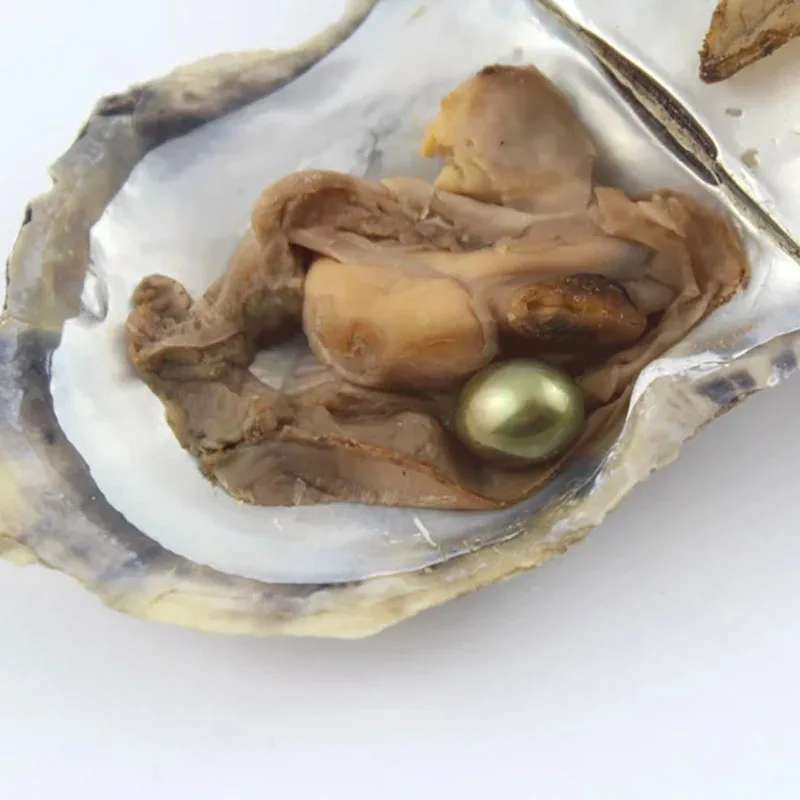 Выгодное предложение 6-8 мм Овальный Форма Жемчуг культивированный Oyster с одной жемчужиной внутри(10 шт./упак