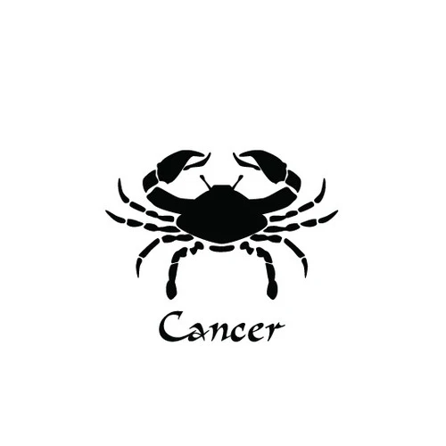 Cancer Модный браслет 12 знаков зодиака для мужчин и женщин Дева весы Скорпион Телец мужские кожаные браслеты мужские ювелирные изделия - Окраска металла: Cancer