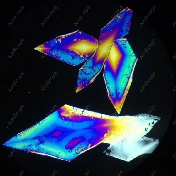 EPI металлургический микроскоп-AmScope поставки 40X-640X микроскоп + Цифровая камера 8 МП |