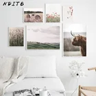 Плакат в скандинавском стиле, нордическая природа, травяное поле, настенное художественное полотно с принтом, декоративная картина, Современное украшение для гостиной