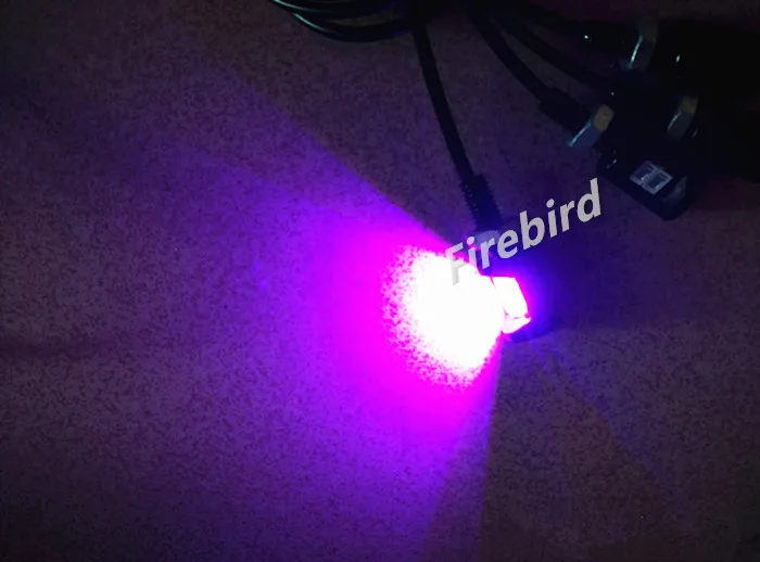 2 х водонепроницасветодиодный светодиодные лампы для номерного знака холодный