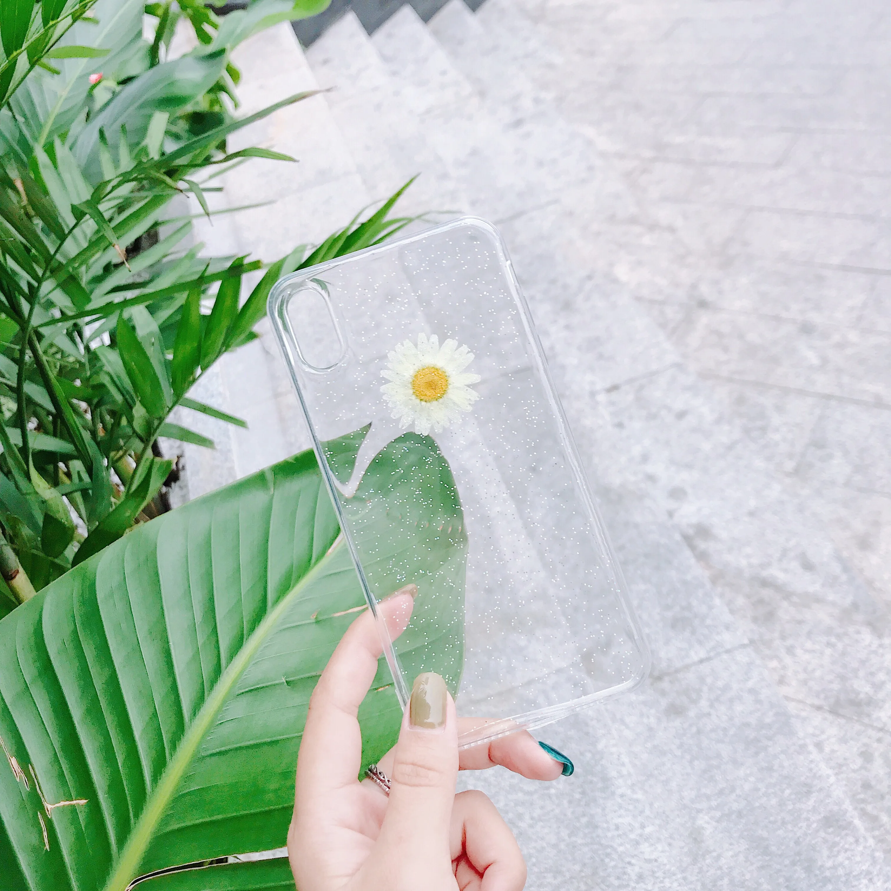 PEIPENG Daisy Real Flower Phone Case For iphone 6 6S 7 8 Plus Handmade Cover for X XS MAX XR Clear Soft Silicone Coque | Мобильные