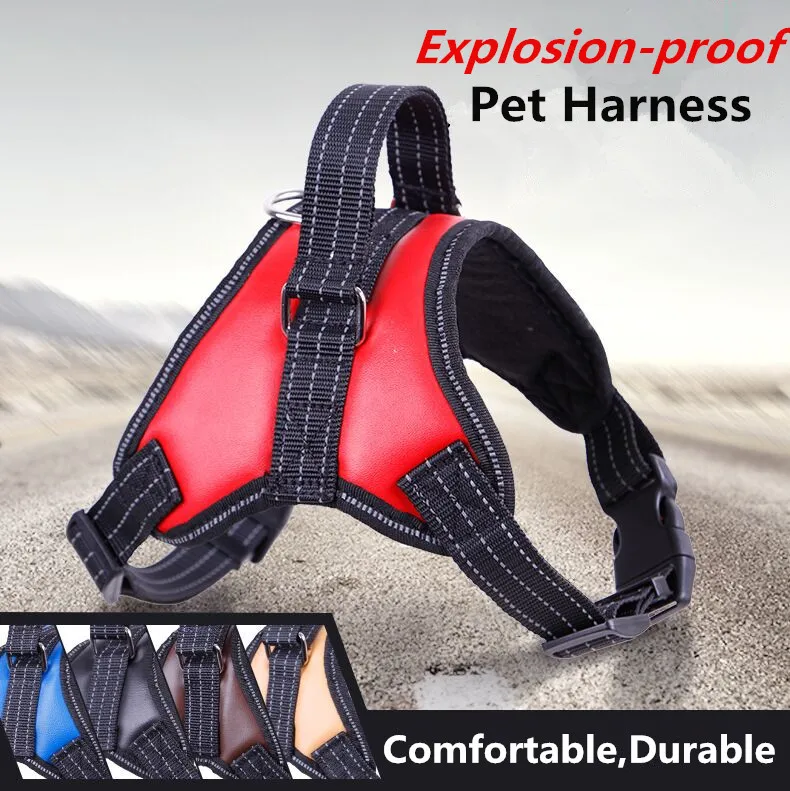 M4 Новый большой собаки регулируемый ремень Допускается воротник кожа