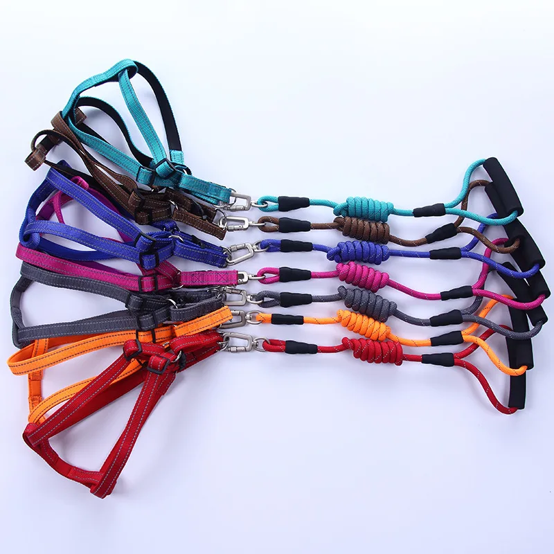 2016 Новый Высокое Качество ADJUSATABLE цвет воротник стереотипные каната Большая