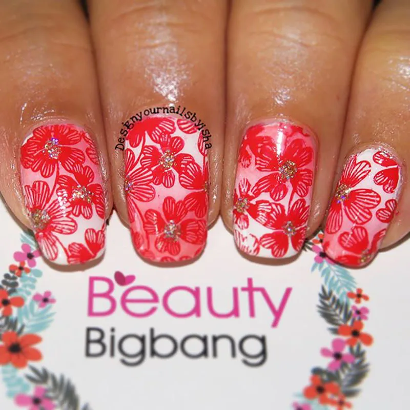 BeautyBigBang пластина для стемпинга для нейл-арта Геометрические Цветочные изображения осенняя Тема для ногтей лак штамповки пластины BBB XL-024
