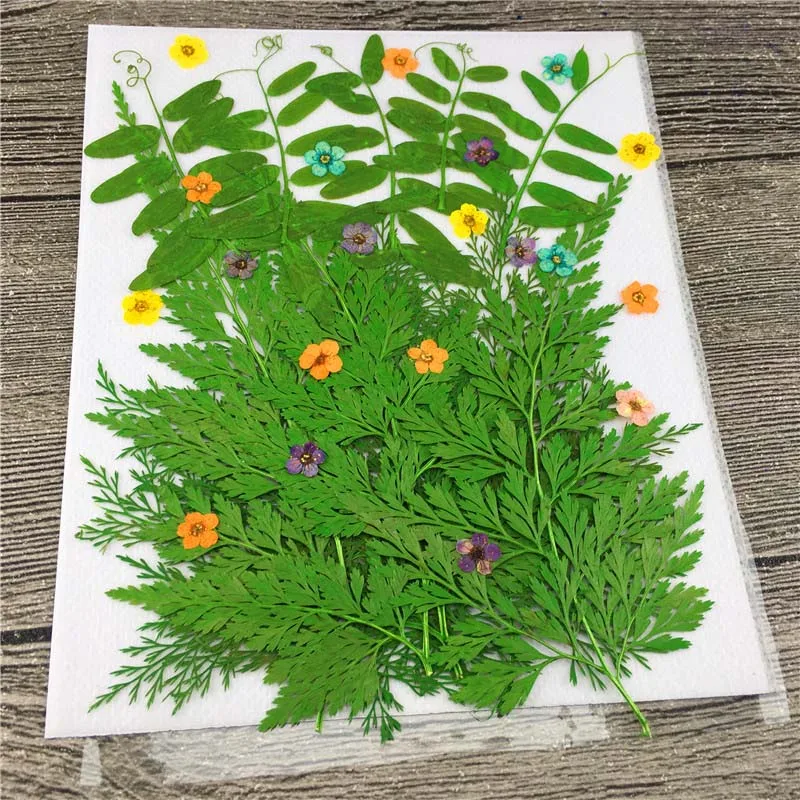 Фоторамка для ювелирных изделий цветок и листья | Дом сад