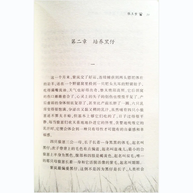 Мечта стать королем волков китайский популярный животный Роман No English Pinyin