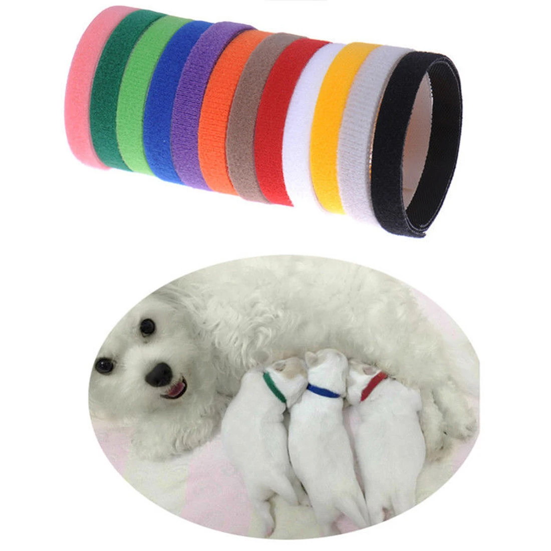 12 шт. нейлоновые ошейники для собак|identification collars|puppy collardog collar |