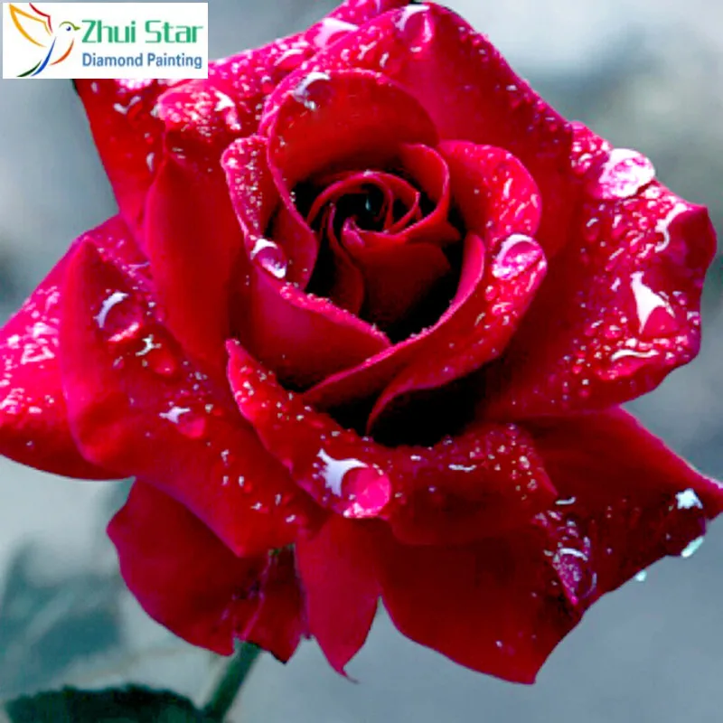 5D сделай сам полностью алмазная живопись бисер вышивка Набор для вышивки