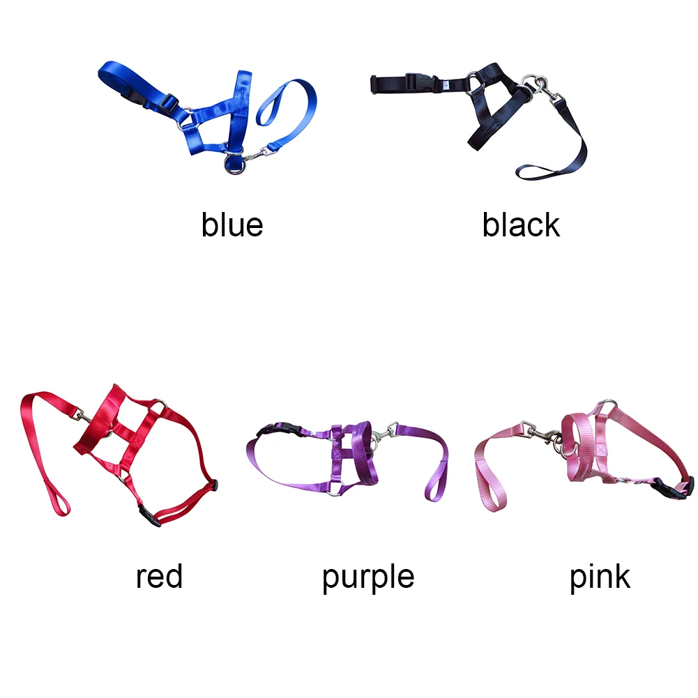 Нейлон ошейник для собак дрессировка Холтер ПЭТ продукт синий красный черный