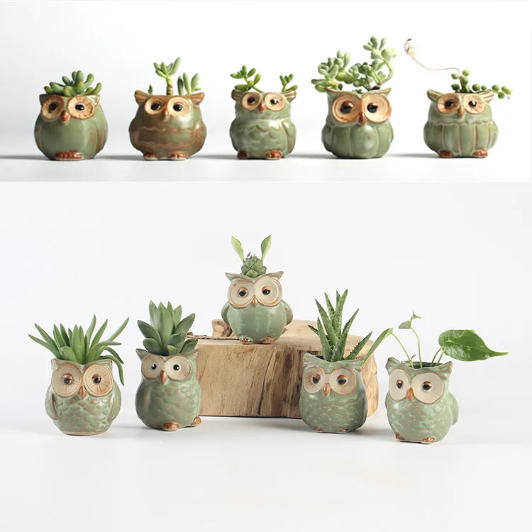 5 шт. мультфильм сова в форме черепа цветочный горшок для суккулентов мясистые
