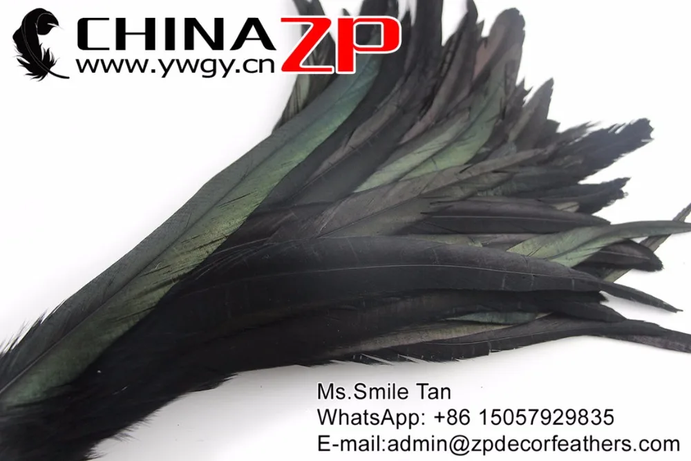 Ведущий поставщик chinazp по оптовой цене Куриные перья 30-35 см перышки для карнавала