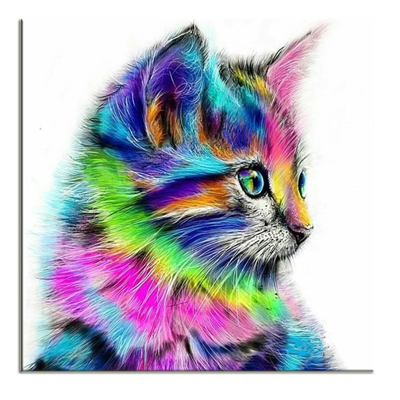 Алмазная 5D живопись сделай сам красочная белка мультфильм животные кот мозаика