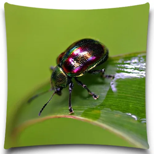 Подушка без внутренней ткани креативная насекомое полиэстер квадратный