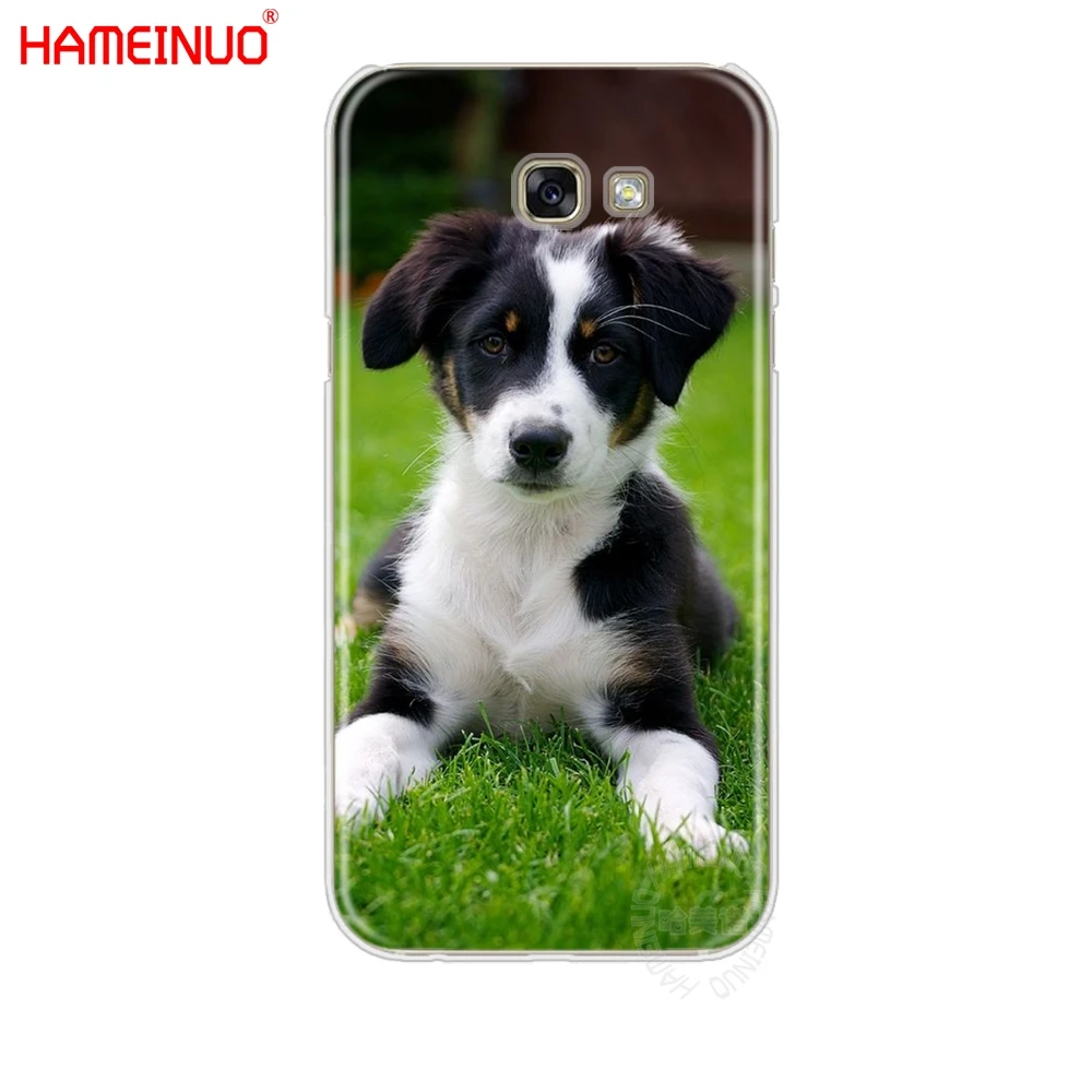 HAMEINUO border collie dog чехол для сотового телефона Samsung Galaxy A3 A310 A5 A510 A7 A8 A9 2016 2017|Бамперы| |