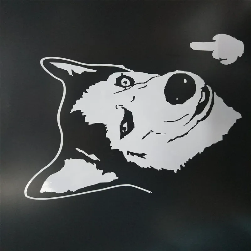 Симпатичные интересные креативные переводки автотюнинг Стайлинг