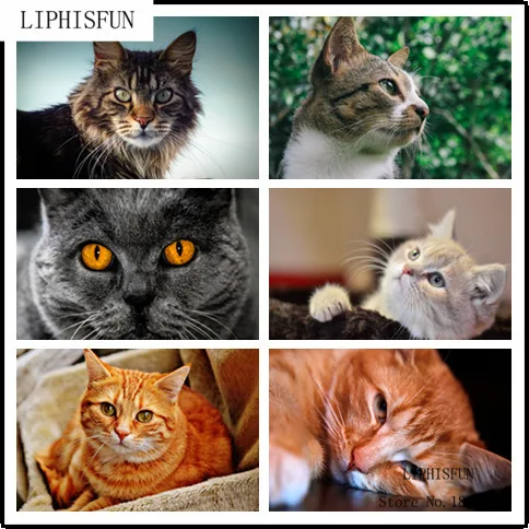 

5D алмазная живопись своими руками, алмазная живопись, вышивка крестиком, домашний декор, Алмазная мозаика с котом