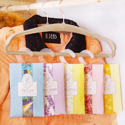 В помещении можно повесить натуральные пакетики гардероб устойчивые к насекомым