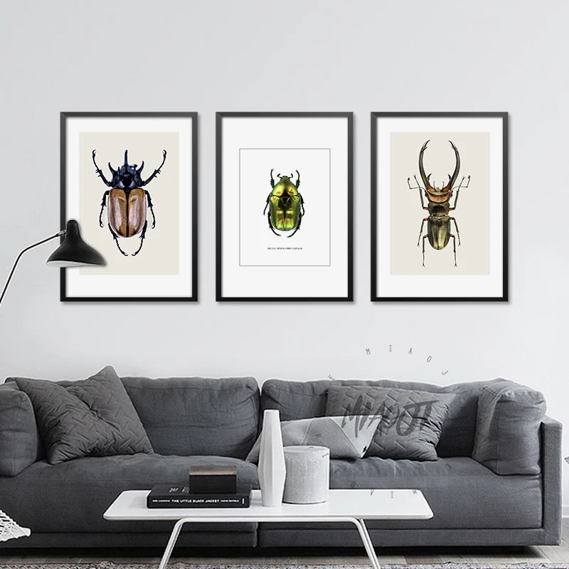 Coleoptera насекомые плакаты настенные художественные печатные картины на холсте для