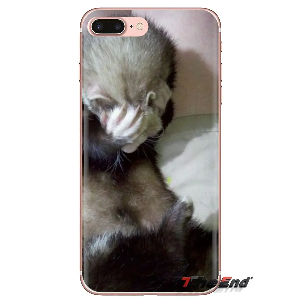 For Xiaomi Mi3 Samsung A10 A30 A40 A50 A60 A70 Galaxy S2 Note 2 Grand Core Prime ferret Soft Transparent Cases Covers |