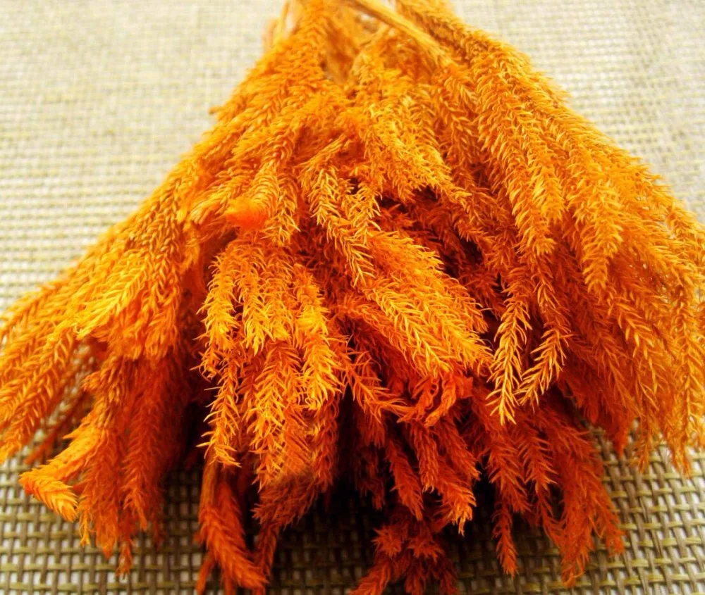 50 г оформление дневного света искусственный цветок для свадебной вечеринки