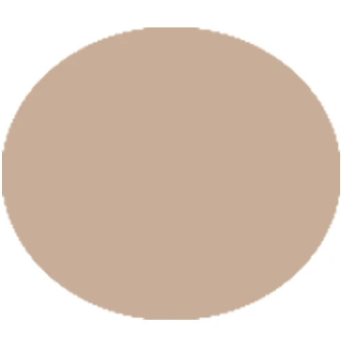dark complexion Натуральная Аэрограф, Косметика для макияжа, основа для макияжа, профессиональная основа для консилера, основа для лица, красота, сделай сам, краска для лица, румяна, тени для век - Цвет: dark complexion