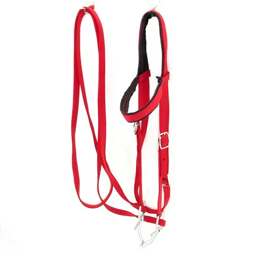 red size M Утолщенные аксессуары для всадника уздечка Холтер для верховой езды оборудование для соревнований игра западные лошади гоночные поводья - Цвет: red size M