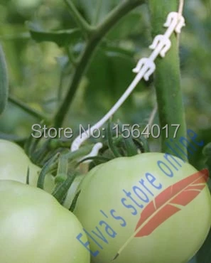 Пластиковые подвесные крючки для овощей 1000 шт.|vegetable shape|vegetable plantclip paper |