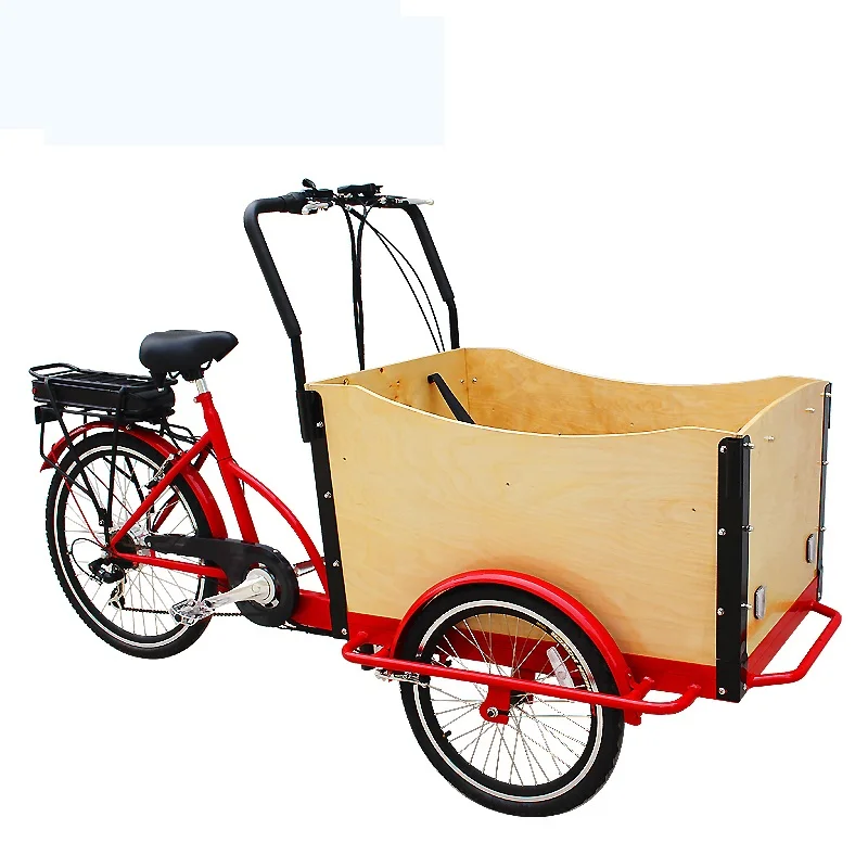 

Heavy Duty Front Cabin Electric Cargo Tricycle Carry Kids Family Cargo Bike