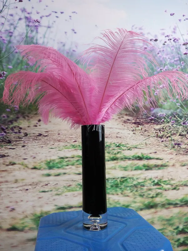 pink 10 шт. высококачественные натуральные перья страуса 8-10 дюймов/20-25 см, для свадебного украшения сцены одежда аксессуары - Цвет: pink