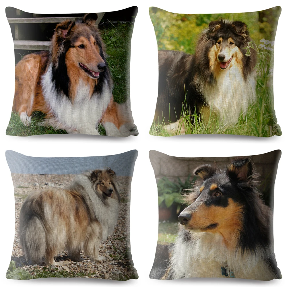 Фото Милый чехол для подушки SheltiePet Border Collie, 45*45 см №3