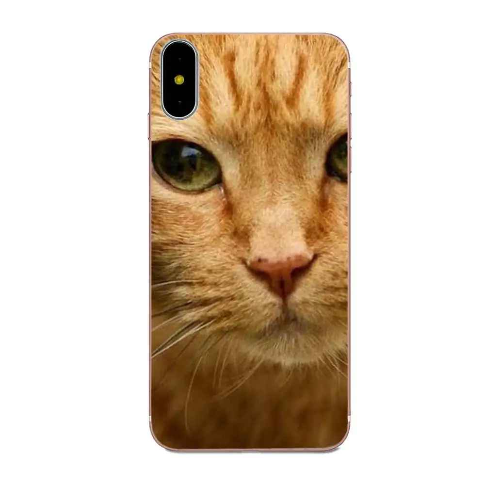 Любопытный Кот подкрадывающийся для Huawei Mate 7 8 9 10 20 P8 P9 P10 P20 P30 Lite Plus Pro 2017 Diy рисунок