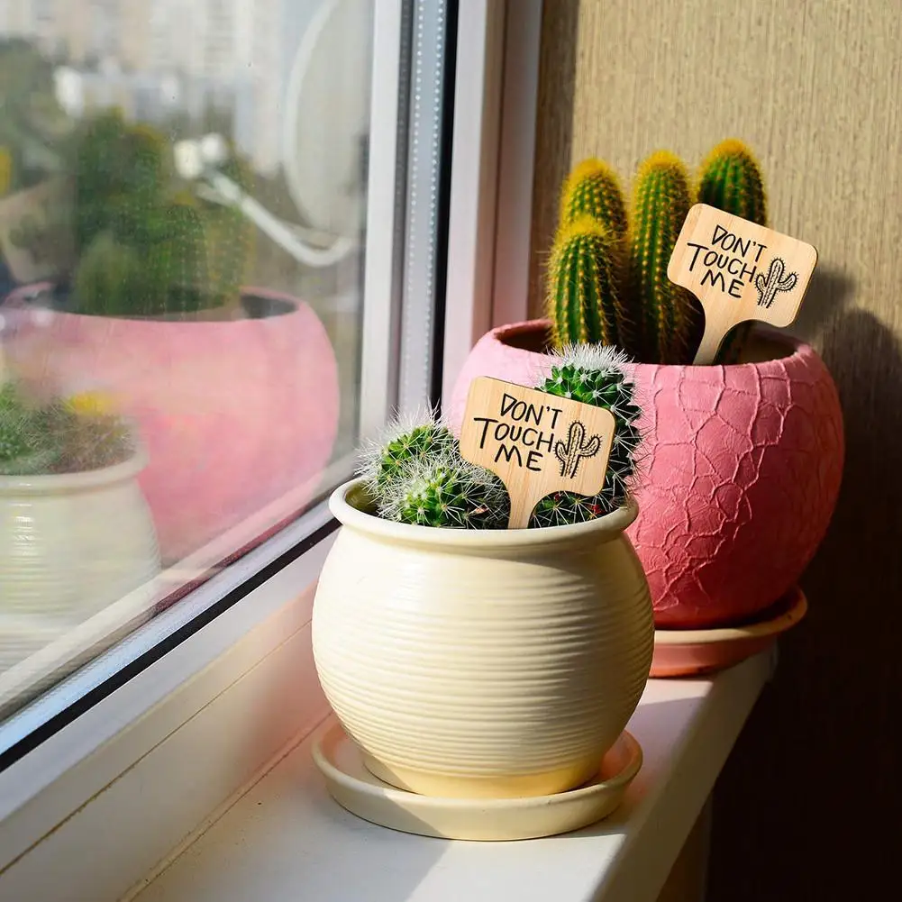 50 шт./компл. этикетки для растений цветок карта суккулент карты пейзаж вывеска